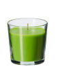 Haonai hot sale eco-friendly glass canlde holder glass candle cup with customized logo